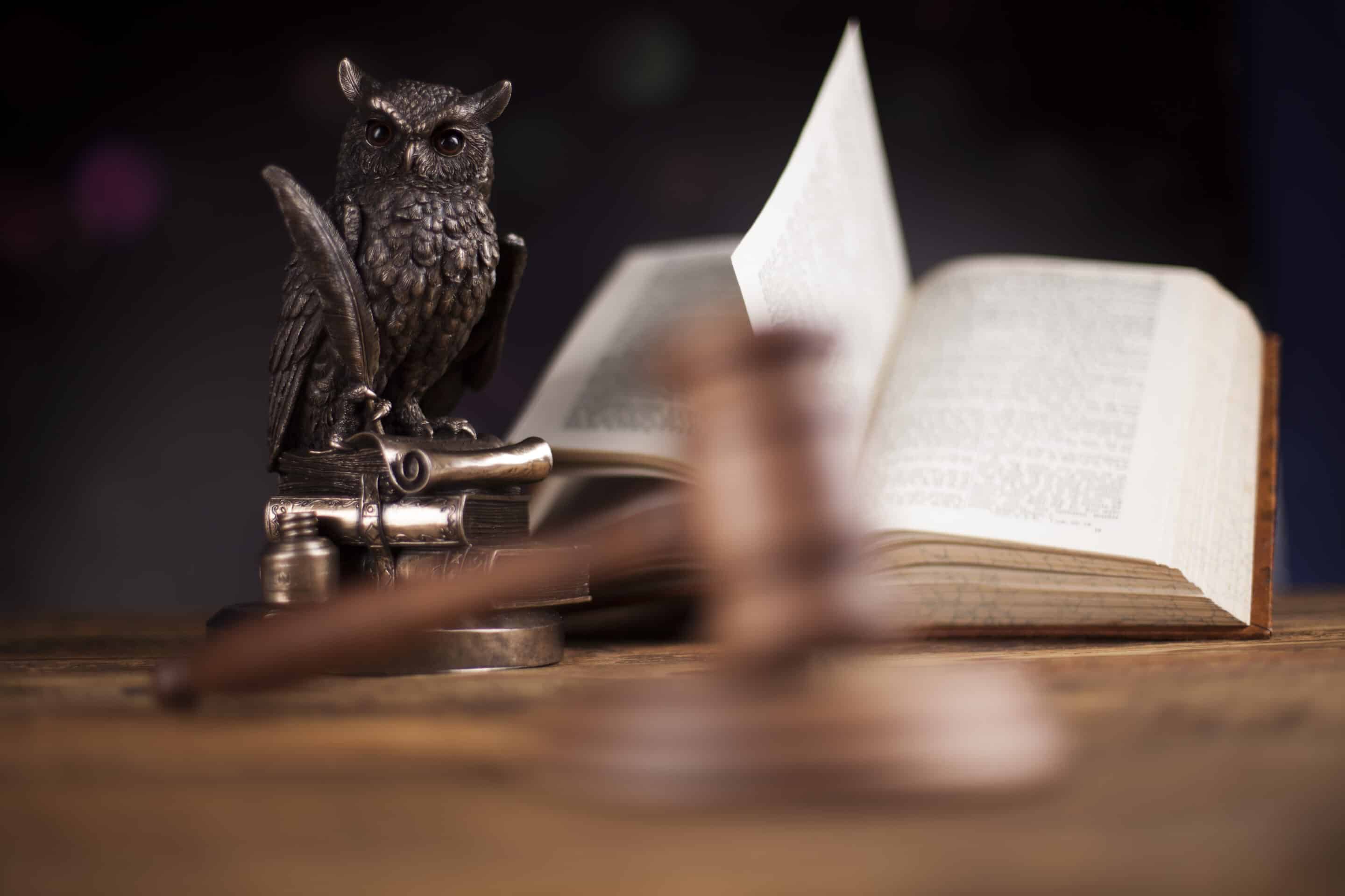 Gavel,Law theme, mallet of judge, Owl